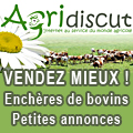 Encheres de bovins, Petites annonces, Forum agricole